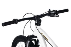 Collective Bikes C100 V3 24k White Gold Bike 11 Collective Bikes C100 V3 24k White Gold Bike -Les Cycles Shop DSC 0890copy