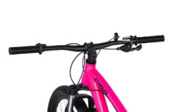 Collective Bikes C100 V3 Rhodonite Bike -Les Cycles Shop DSC 0901copy