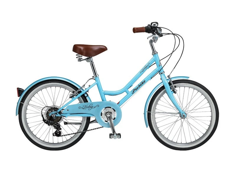 PROBIKE Mini Vintage 23" Ice Blue Kids Bike 3 PROBIKE Mini Vintage 23" Ice Blue Kids Bike