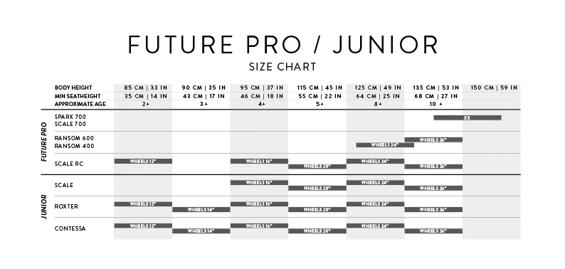 Scott Roxter 24 Silver 2024 Kids Bike 4 Scott Roxter 24 Silver 2024 Kids Bike - Image 2