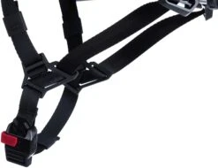 Cube Helmet Fleet Various Colours MIPS -Les Cycles Shop a363211bfcdc87e6fd5438ea3601156600f0dda7 16417 5 2200x2200 ad361ea1 493a 4f20 a173 e12536b24fec