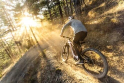 Haibike AllMtn CF 11 TRN IQ Auto Gears Motor 2026 Electric Mountain Bike -Les Cycles Shop filters quality 80 c1d67fcb 671c 4c64 a7f3 5084c3f5305d